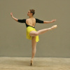Queen Bee Ballet Skirt Ballet Mafia 